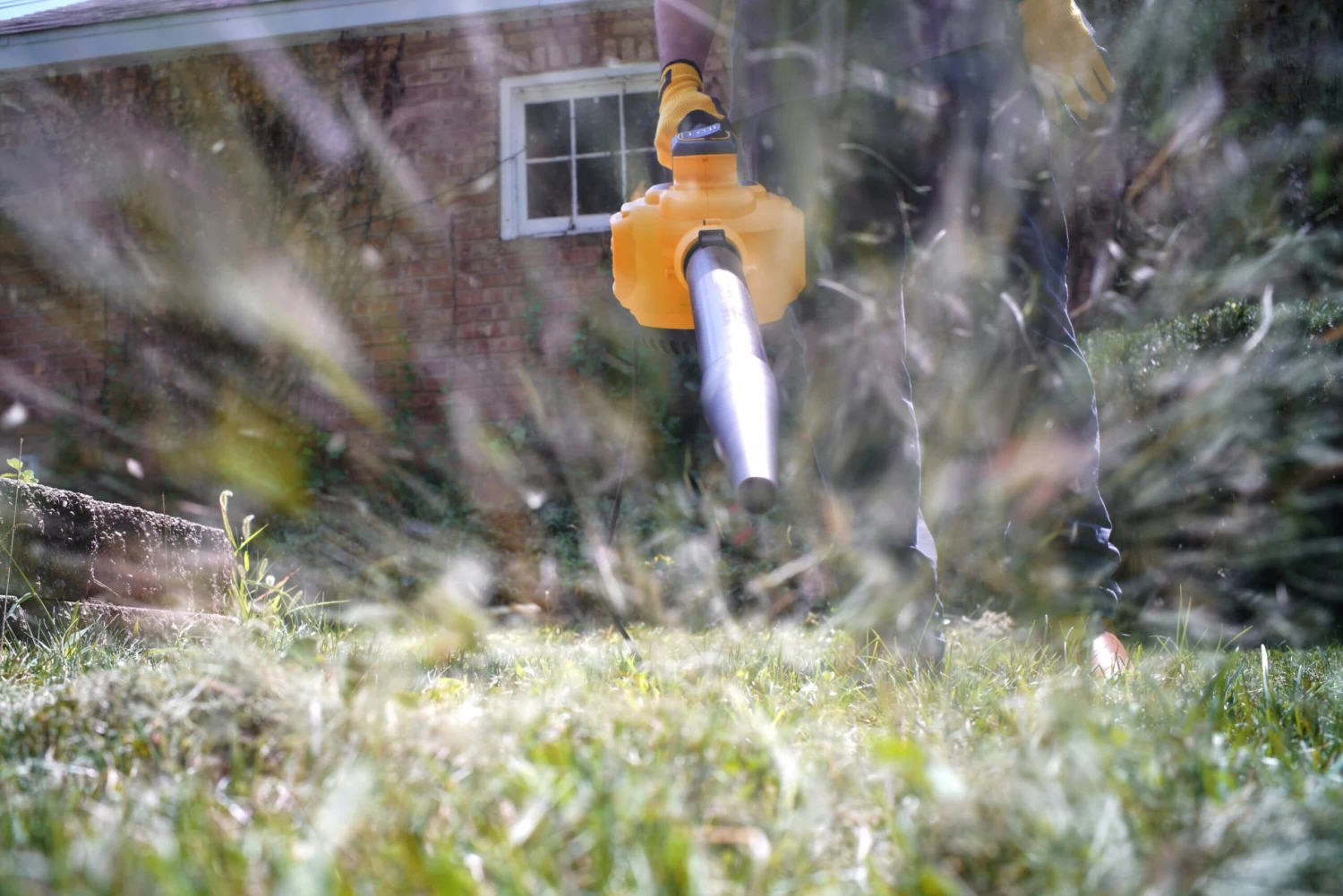 DEWALT Detachable Blower 12-Gallon 5.5 HP Corded Wet/Dry Shop Vacuum With Accessories Included 14 DEWALT Detachable Blower 12-Gallon 5.5 HP Corded Wet/Dry Shop Vacuum With Accessories Included -Dewalt Tool World 67959297 scaled